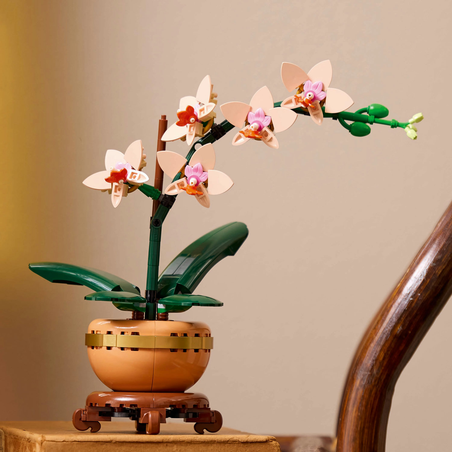BrickMagic.Asia | 10343 LEGO® Botanicals Mini Orchid