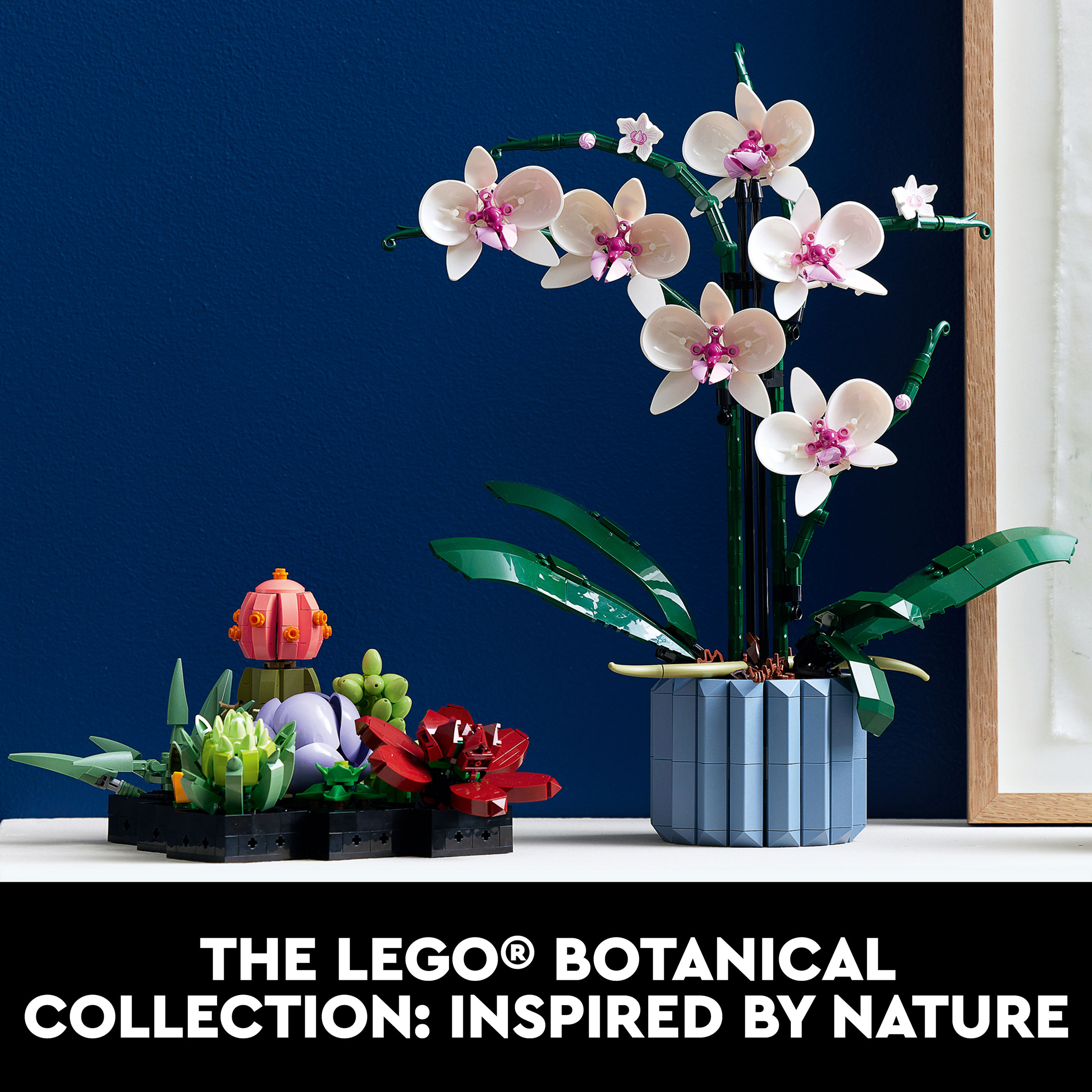 ★関税込★MISCHIEF★PROJECT MAGO_ORCHID COLOR-BLOCKED TO.P★ LEGO Icons Botanical Collection Orchid • Set 10311 • SetDB