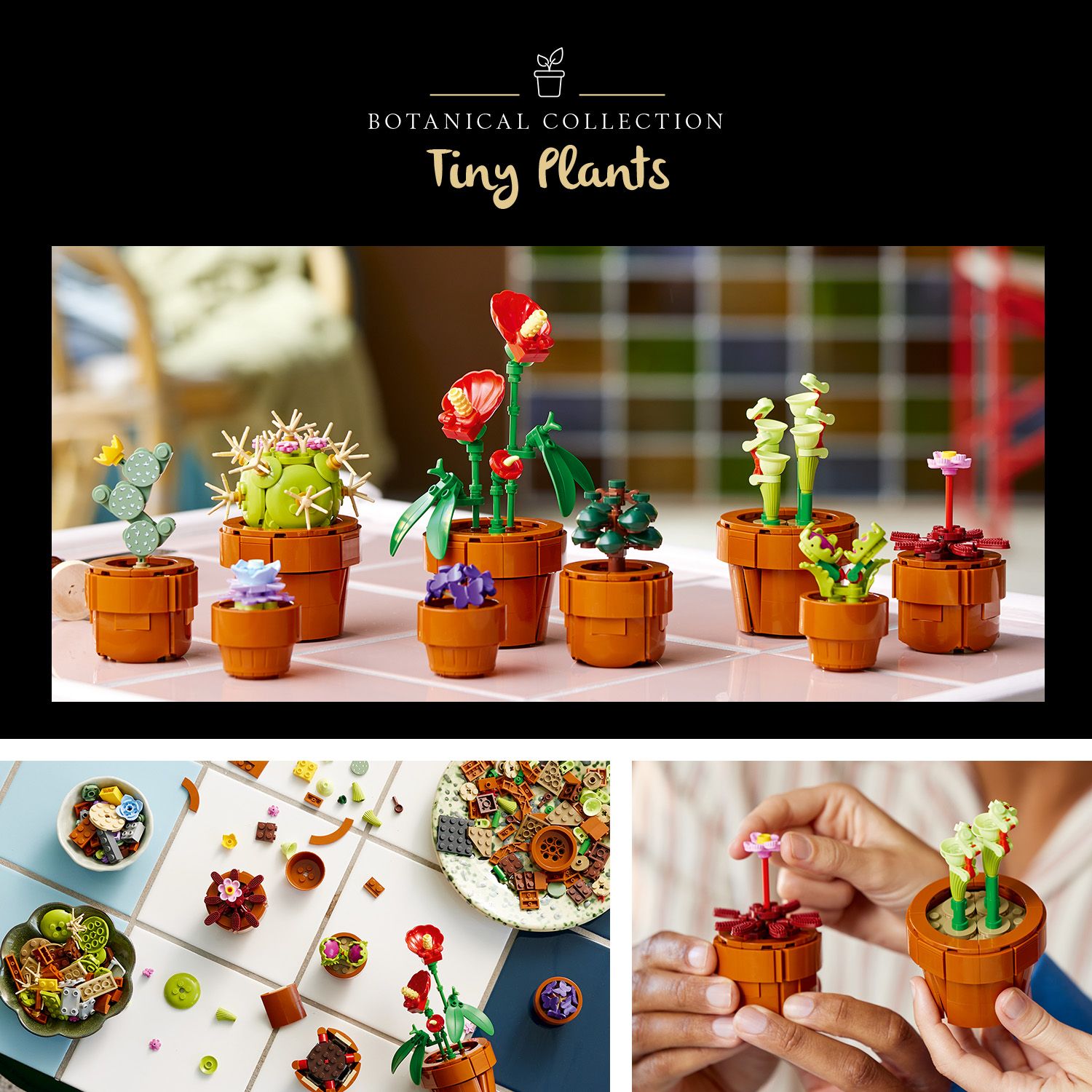  LEGO Icons Tiny Plants Creative Building Set for Adults, Gift  for Valentines Day for Flower-Lovers, Carnivorous, Tropical and Arid Flora,  Build and Display Cactus Décor, Botanical Collection, 10329 : Toys 