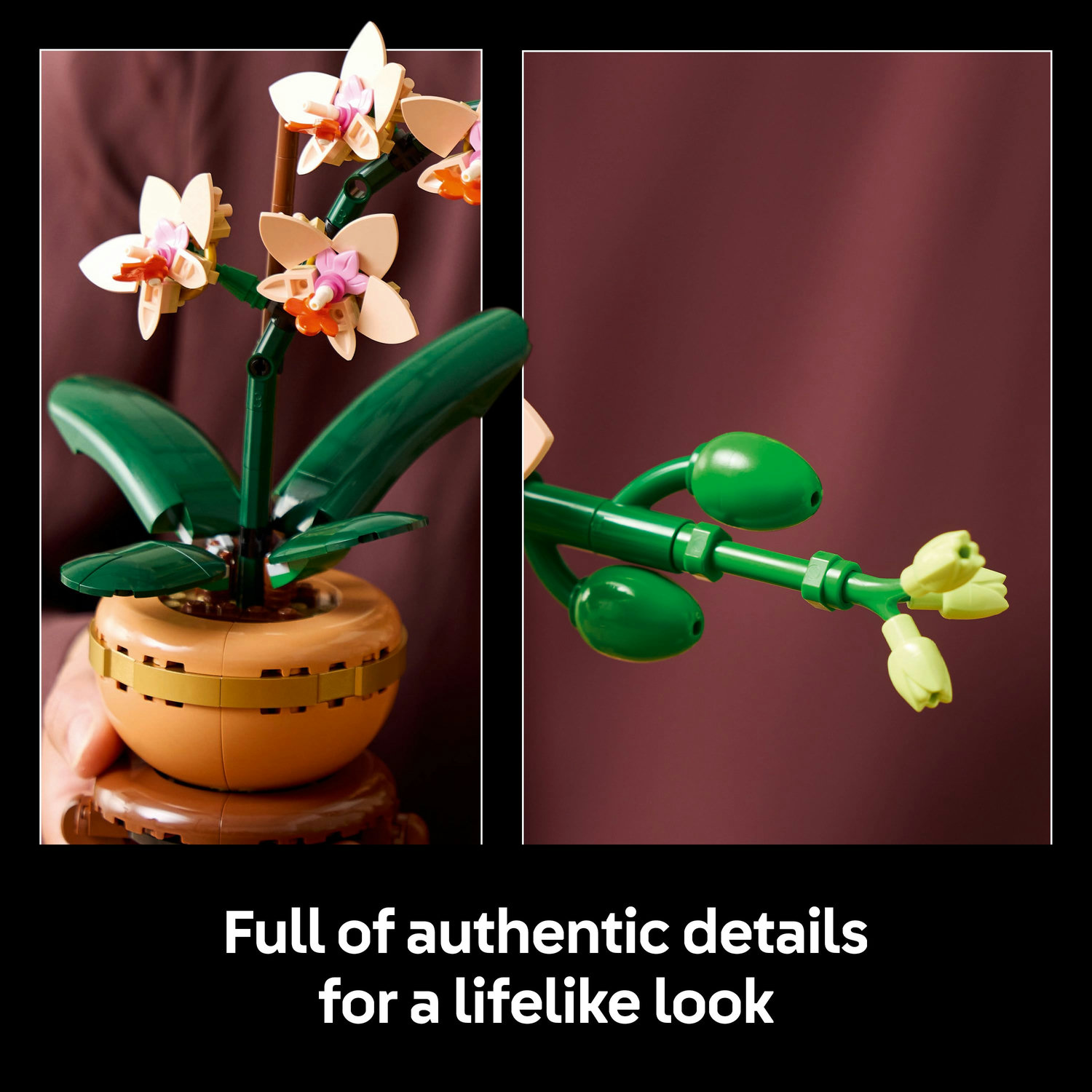 BrickMagic.Asia | 10343 LEGO® Botanicals Mini Orchid